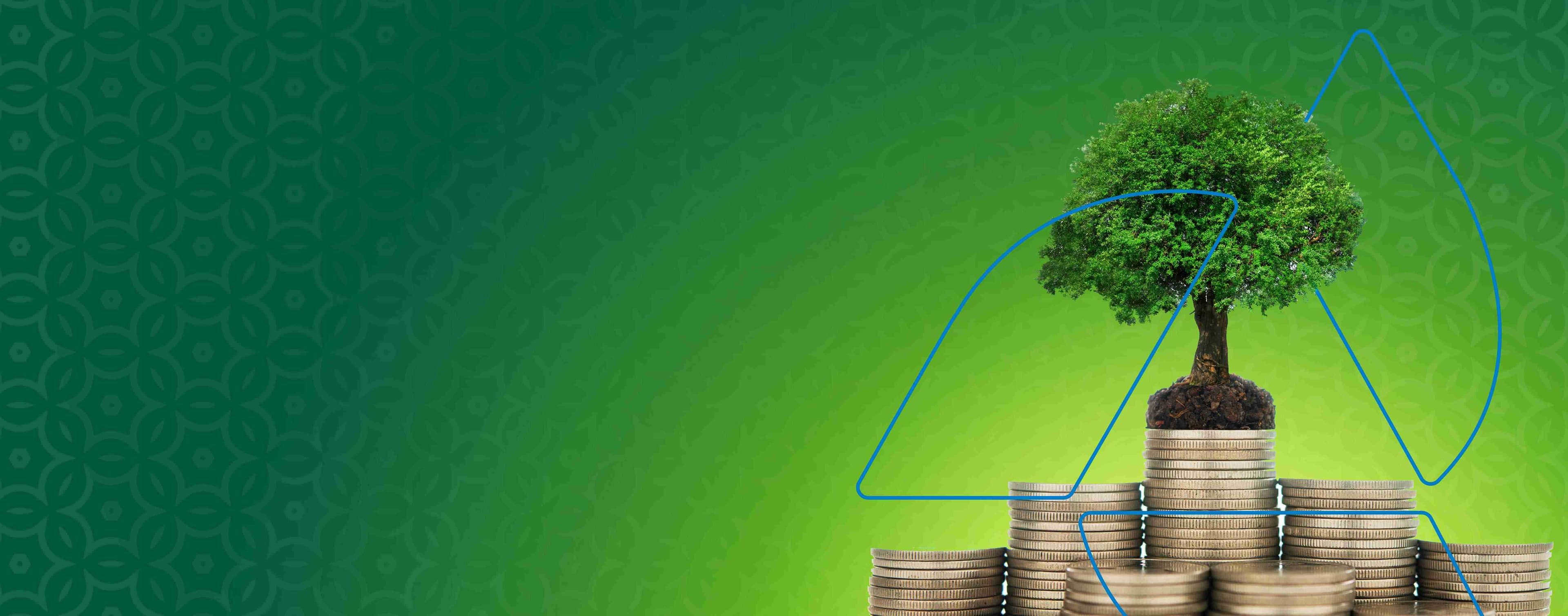 Savings growing like a tree on stacked coins